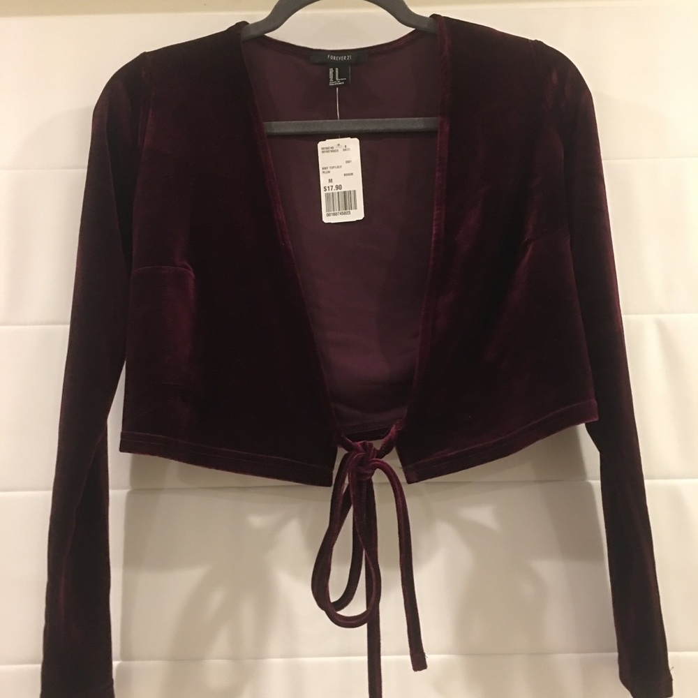 Forever 21 Velvet Cropped Long Sleeve
